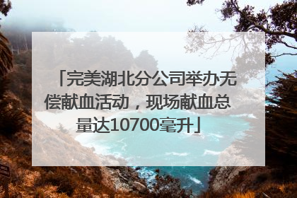 完美湖北分公司举办无偿献血活动，现场献血总量达10700毫升